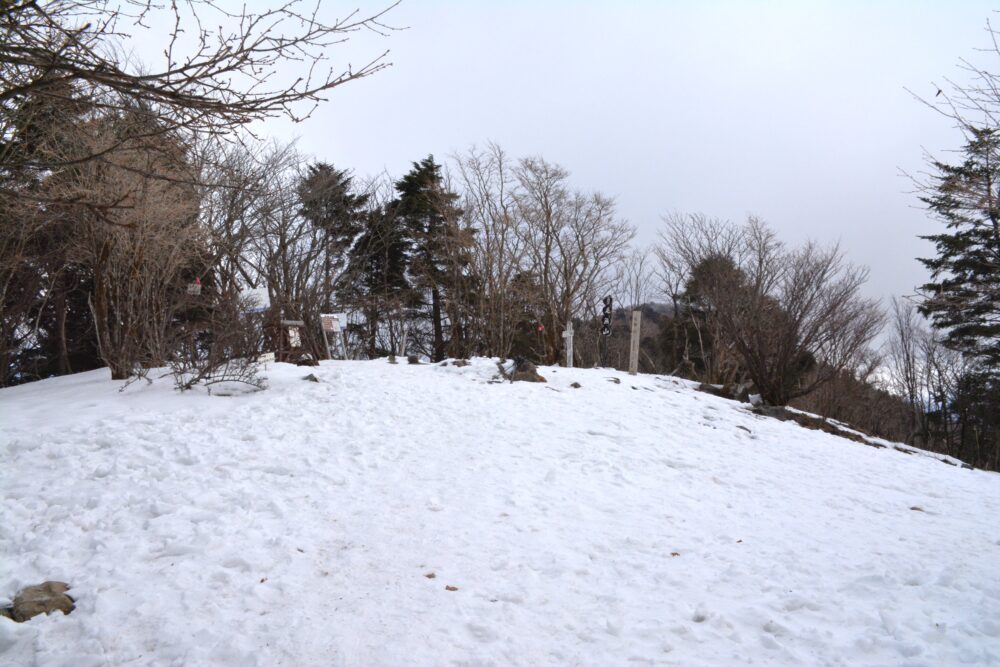 雪の毛無山山頂