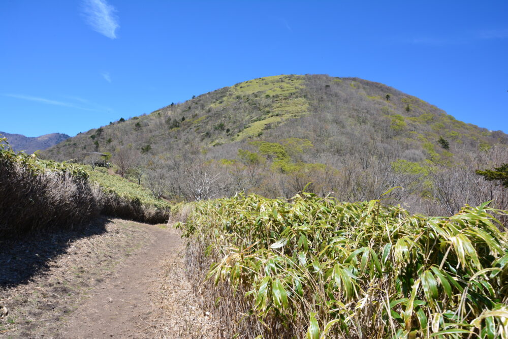 竜ヶ岳山頂