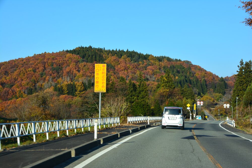 蔵王山の紅葉