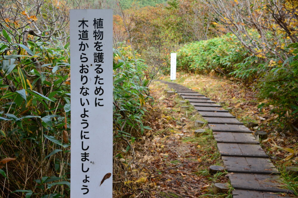 火打山の登山道と看板