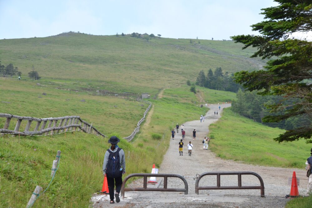 美ヶ原の登山道