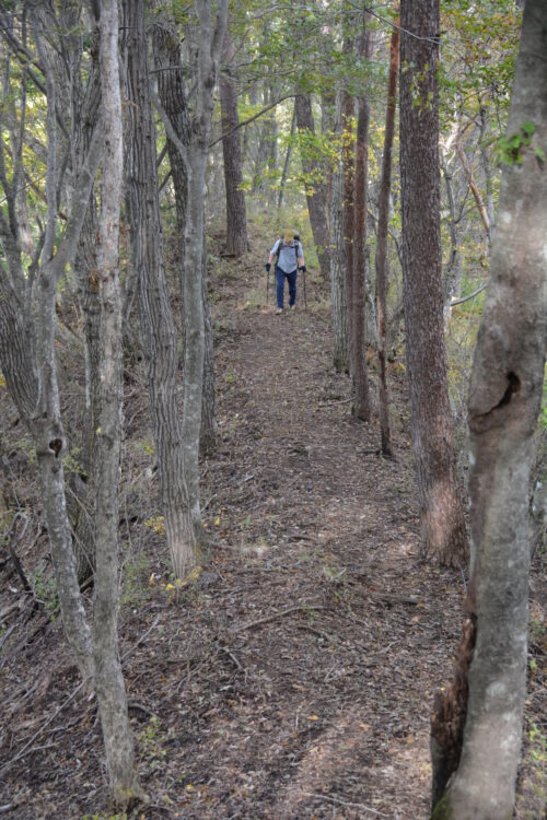 杓子山の登山道を歩く登山者