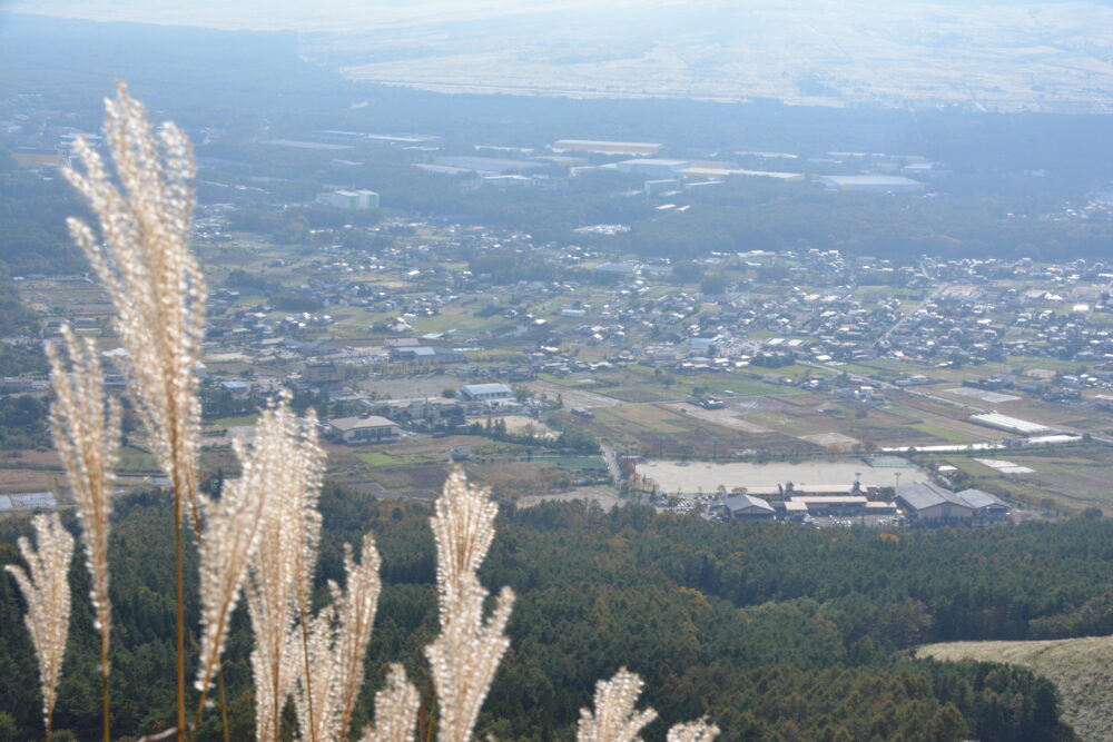 ススキと忍野村の町並み