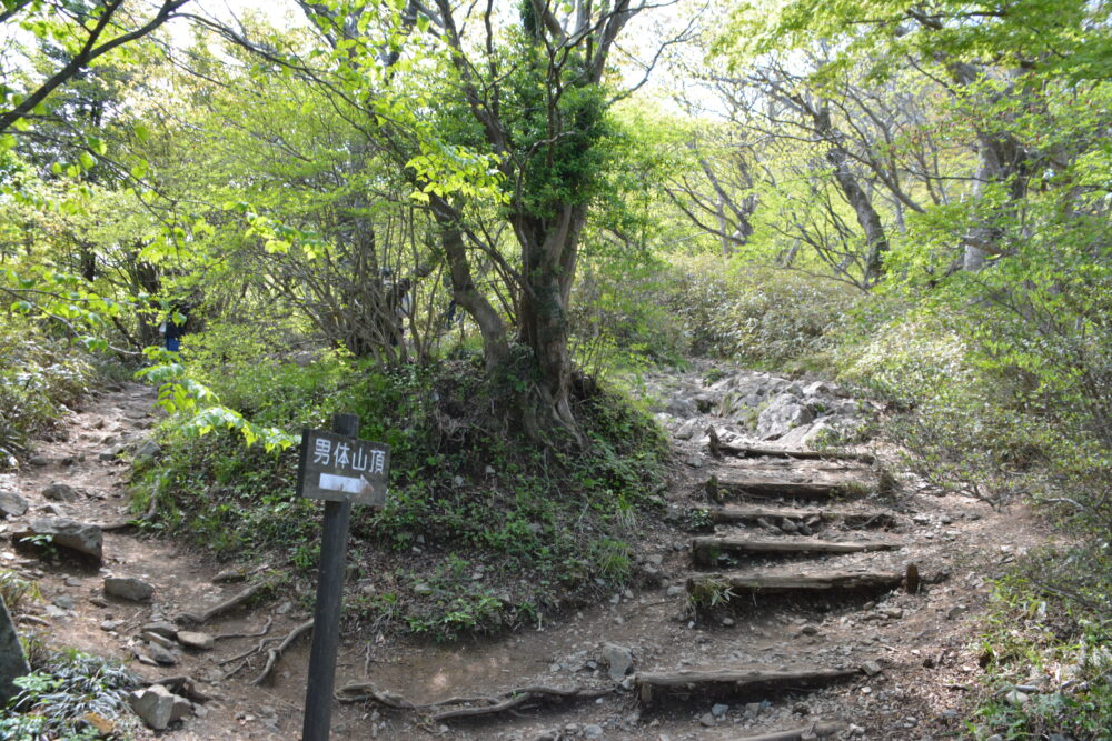 筑波山・男体山の登山道