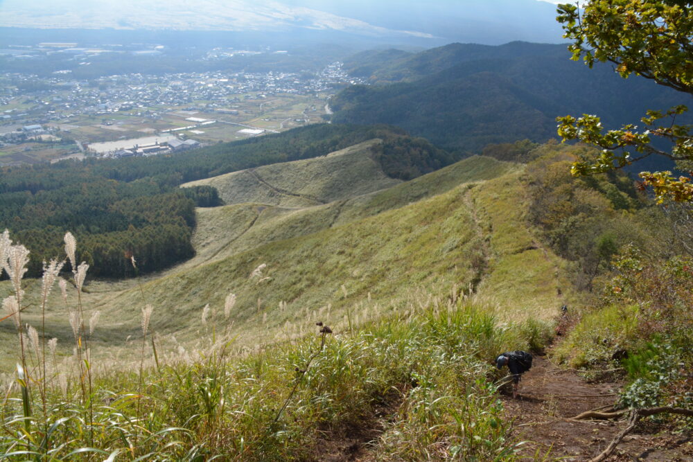 高座山の登山道とススキ