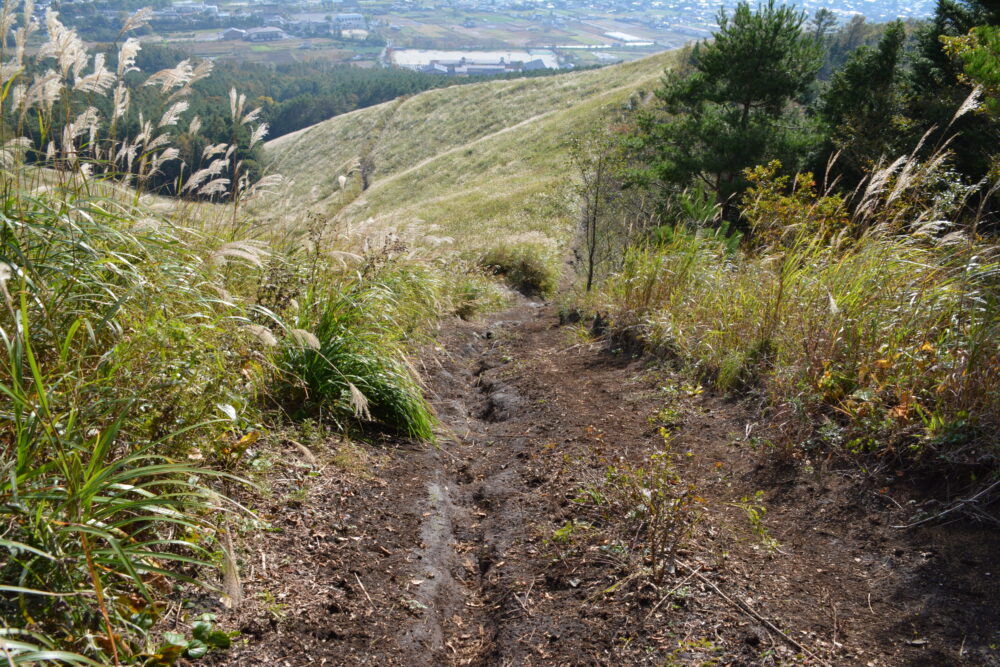 杓子山・高座山のススキと登山道