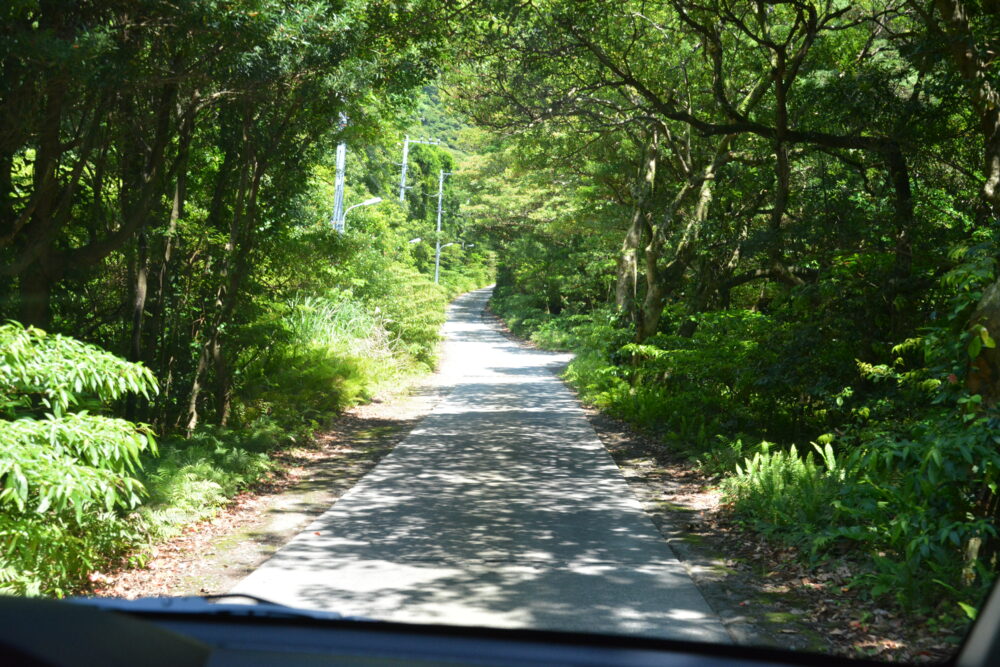 青ヶ島の道路