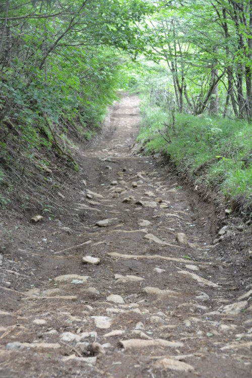 三ツ峠の登山道