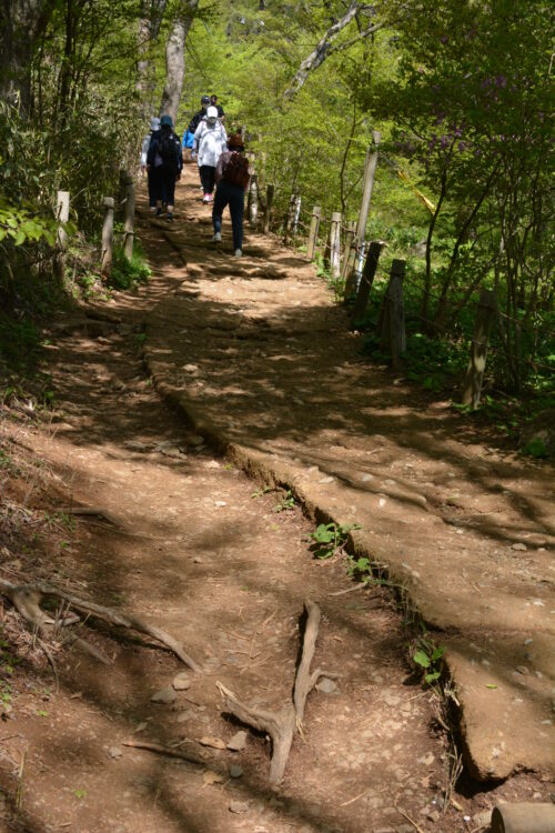 筑波山・女体山の登山道