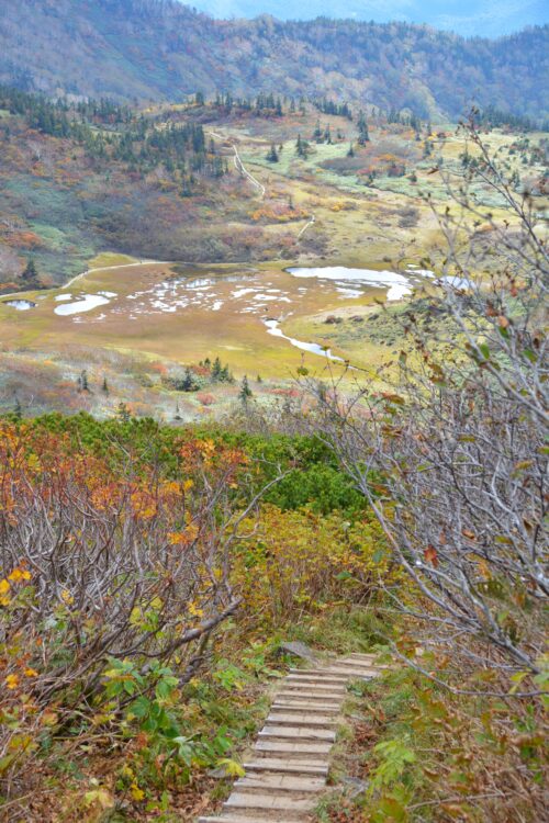 火打山の天狗の庭と木道