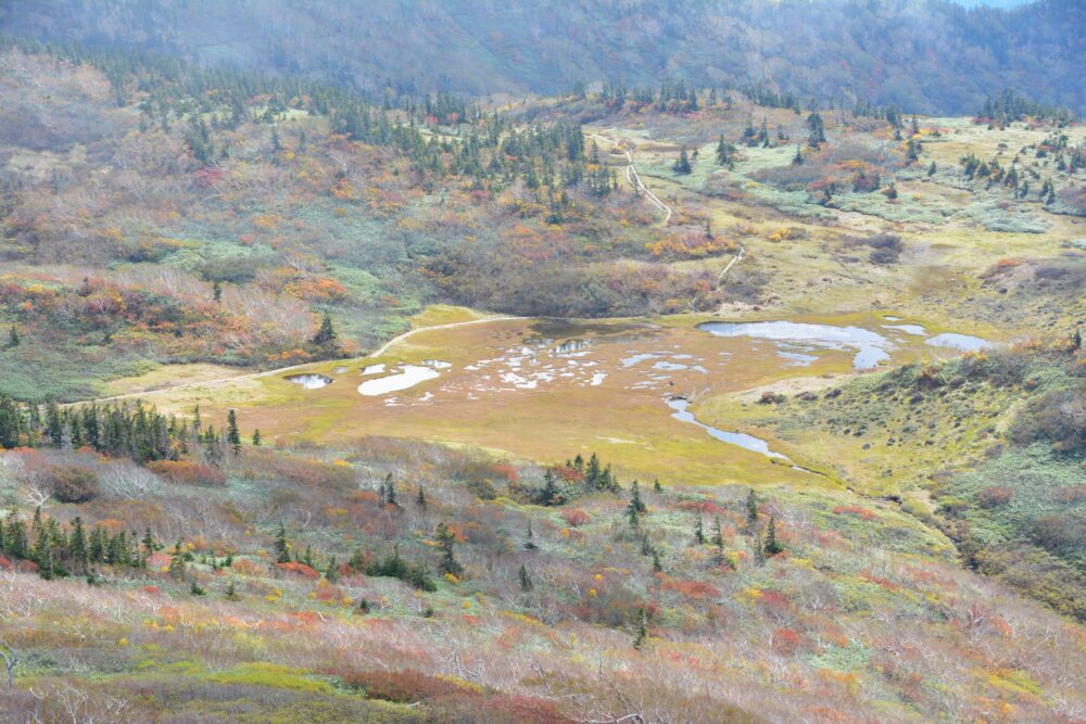 火打山の天狗の庭と紅葉