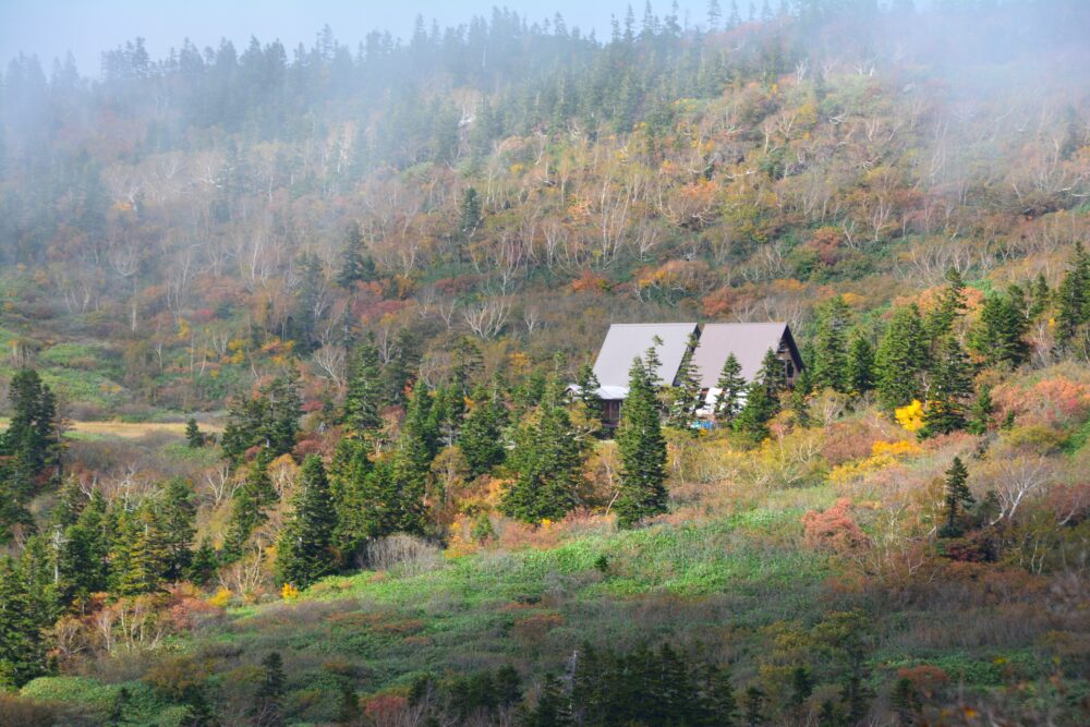 紅葉の火打山の高谷池ヒュッテ