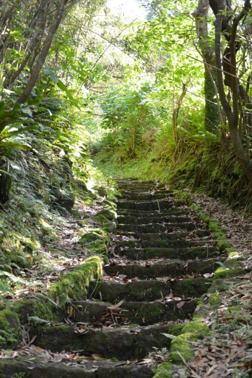 青ヶ島の大凸部へ続く道