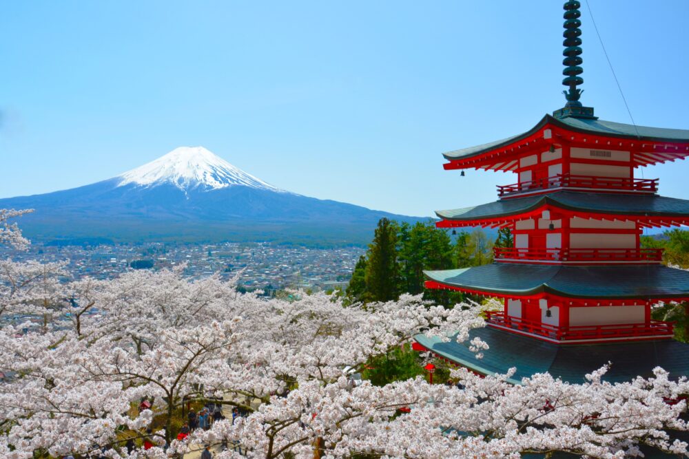 新倉山浅間公園から眺める富士山と五重塔と満開の桜