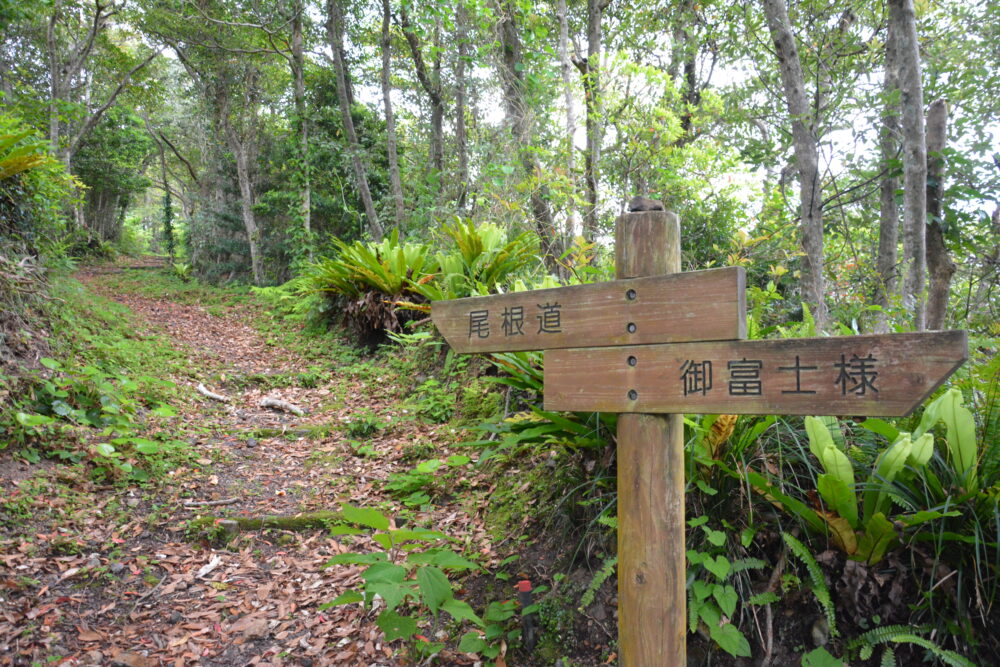 青ヶ島の内輪山（丸山）の散策路