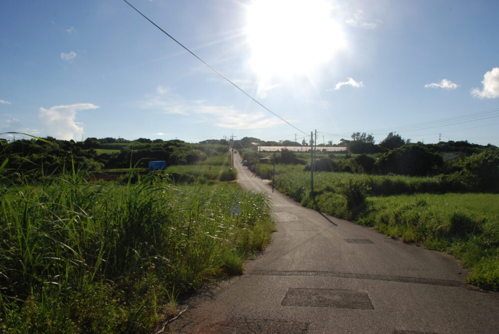 与論島の風景