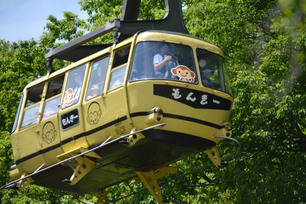 宝登山ロープウェイのゴンドラ