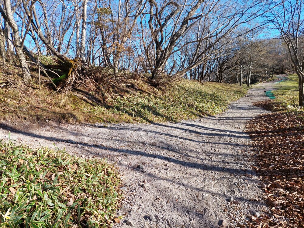 赤城山・長七郎山の登山道