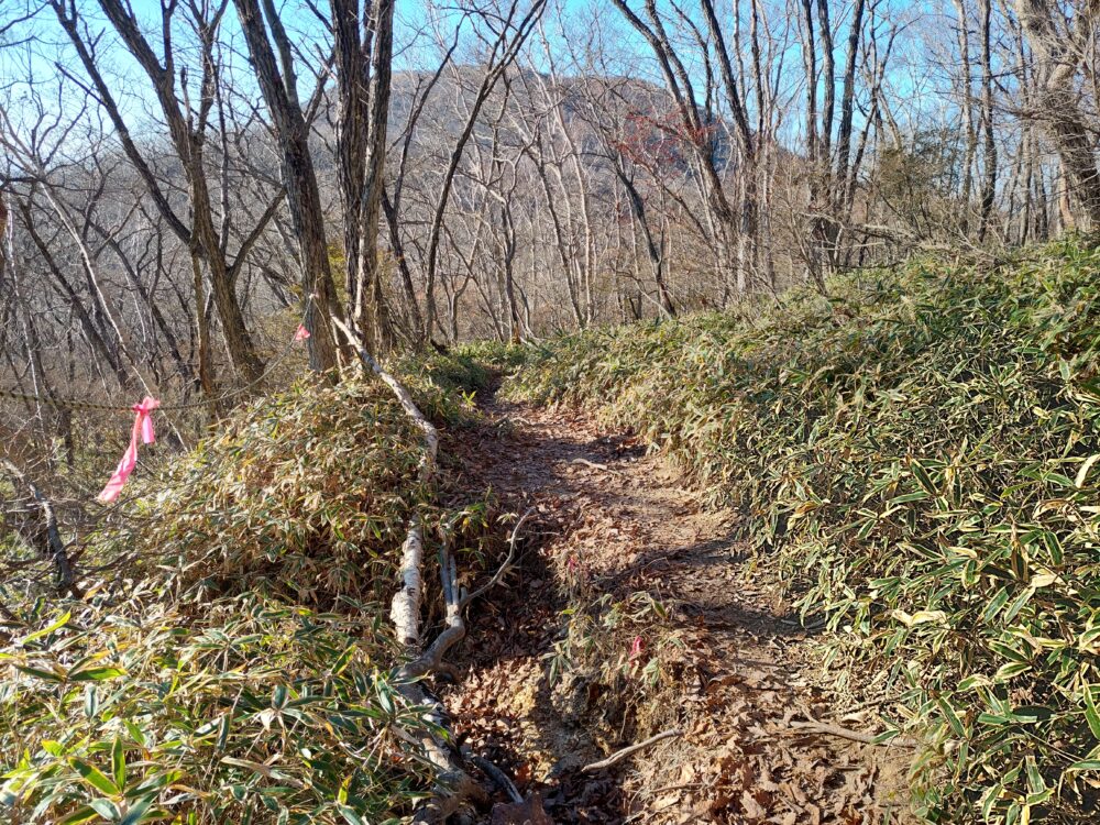 赤城山・長七郎山の登山道