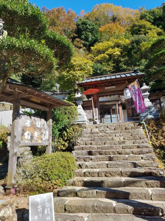 丹沢・大山のこま参道の旅館ねぎし