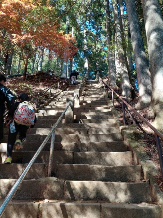 丹沢・大山の登山道