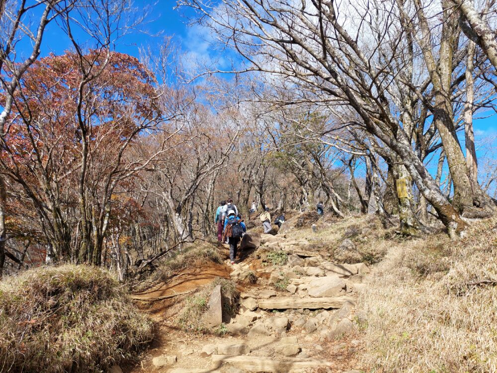 丹沢・大山の登山道