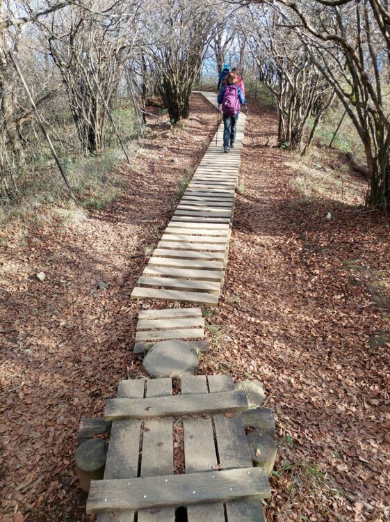 丹沢・大山の整備された登山道