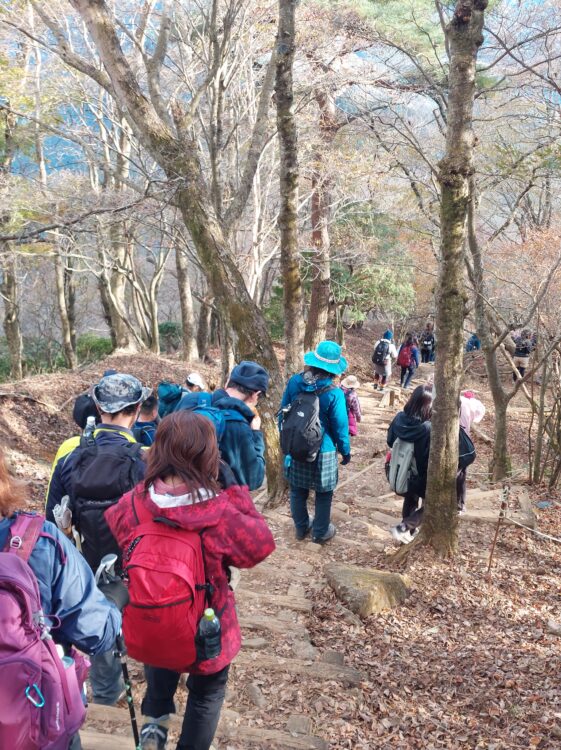 丹沢・大山の登山道を歩く人々