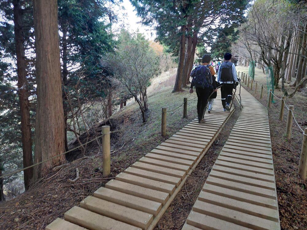 丹沢・大山の登山道を歩く人々