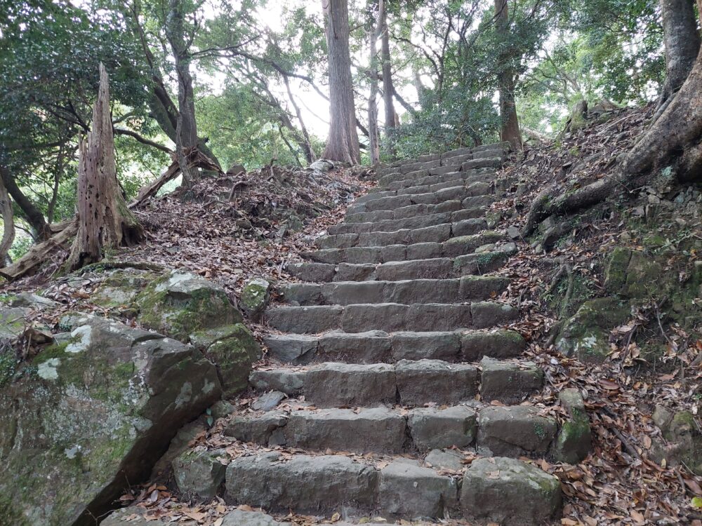 丹沢・大山の男坂の階段