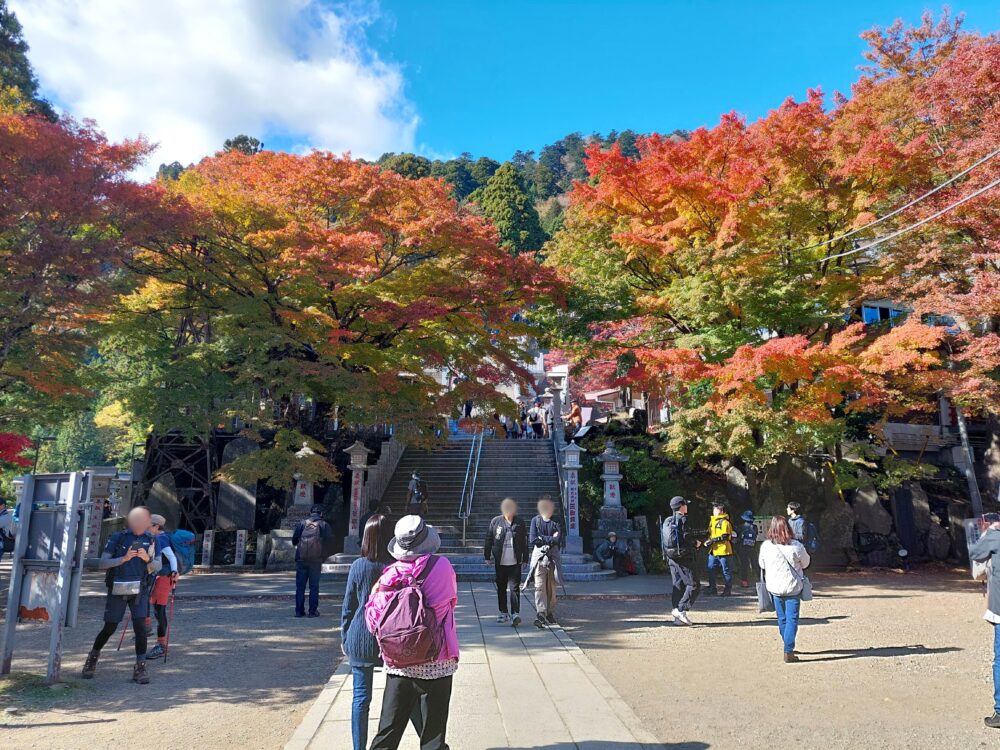 丹沢・大山の阿夫利神社の紅葉