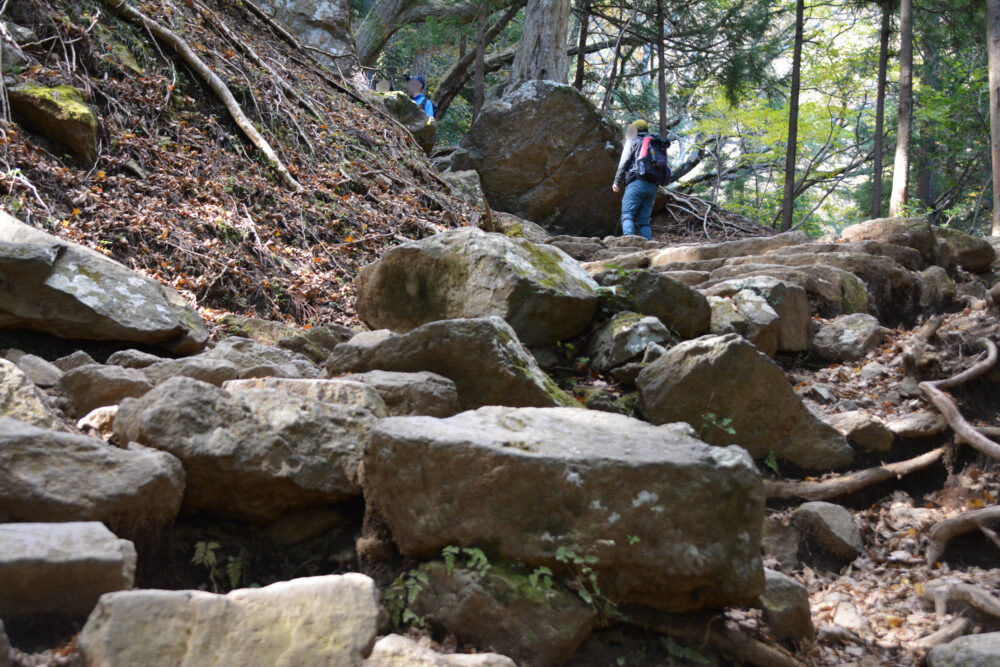 丹沢・大山の登山道