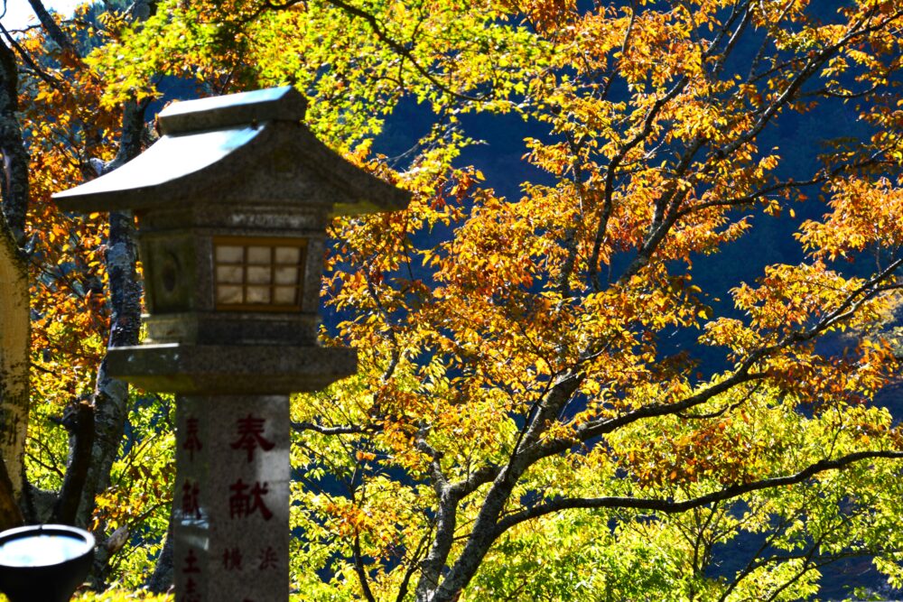 丹沢・大山の阿夫利神社の紅葉