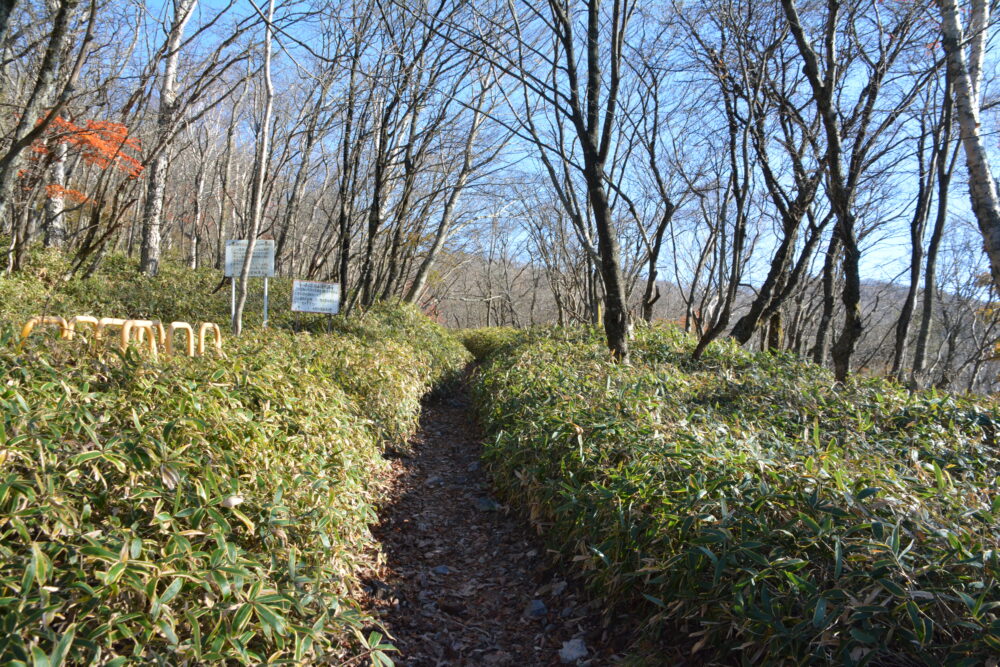 赤城山・長七郎山の登山道