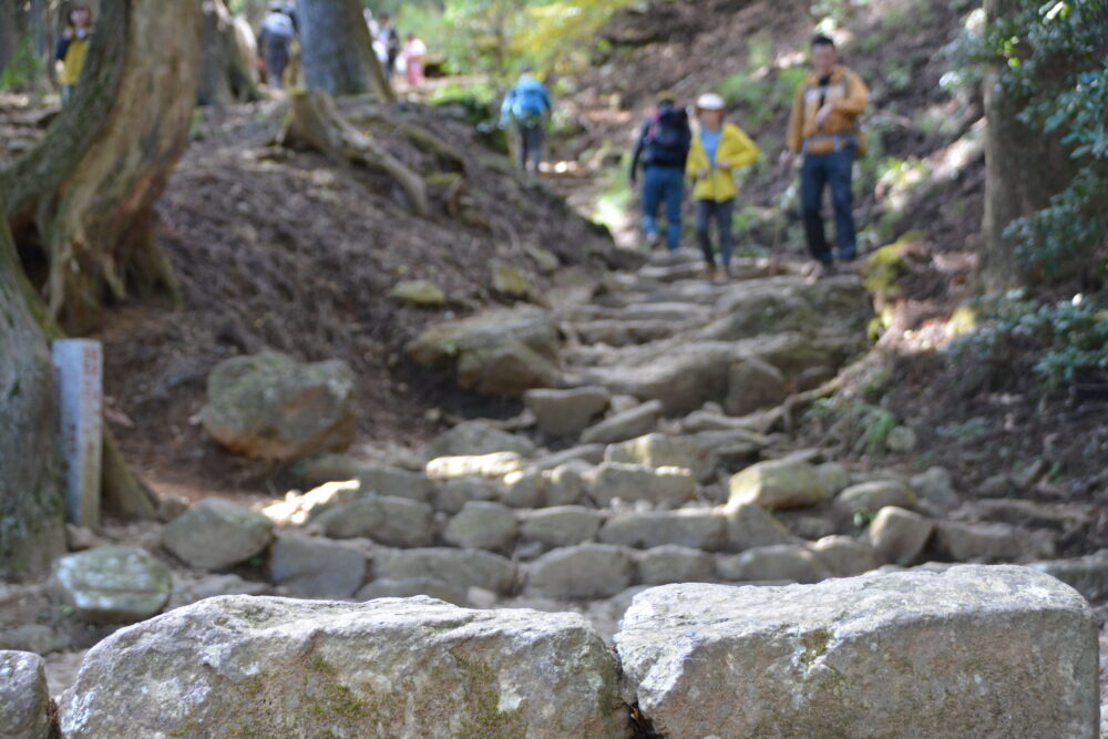 丹沢・大山の登山道