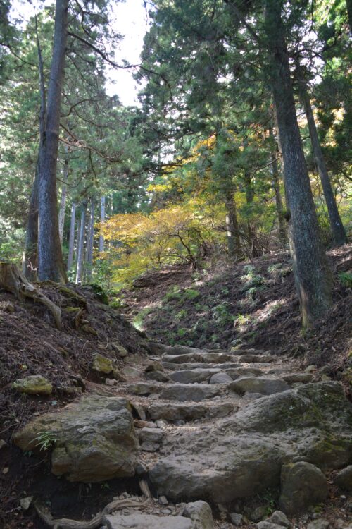 丹沢・大山の登山道