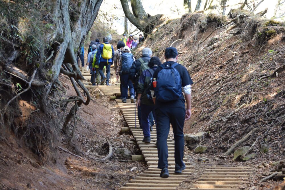 丹沢・大山の登山道を歩く人々