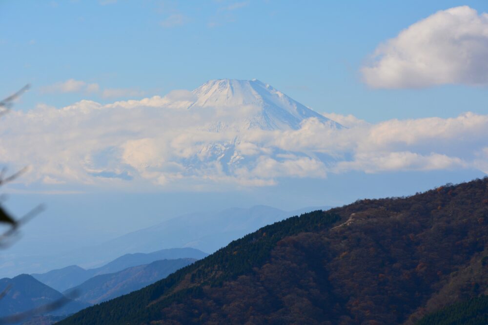 丹沢・大山の富士見台から見た富士山