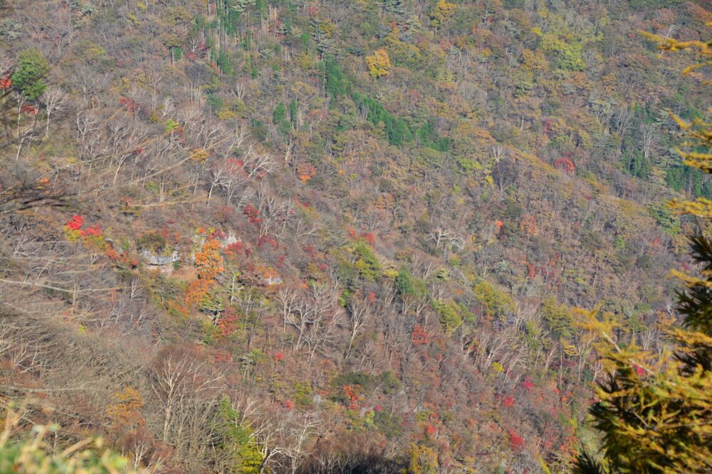 赤城山・長七郎山から見た赤城山山腹の紅葉