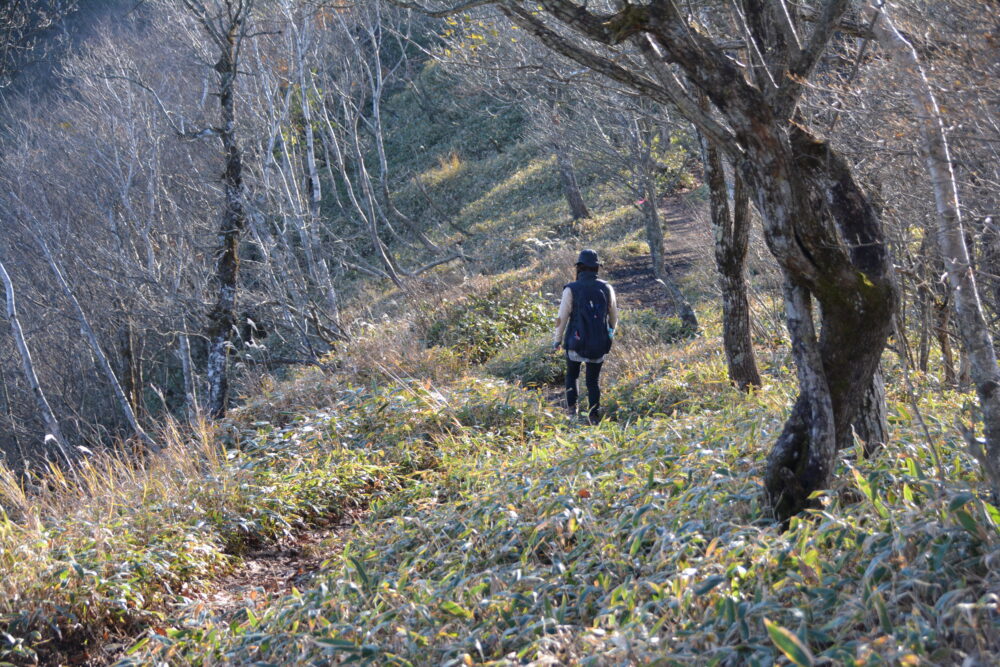 赤城山・長七郎山の登山道を歩く登山者