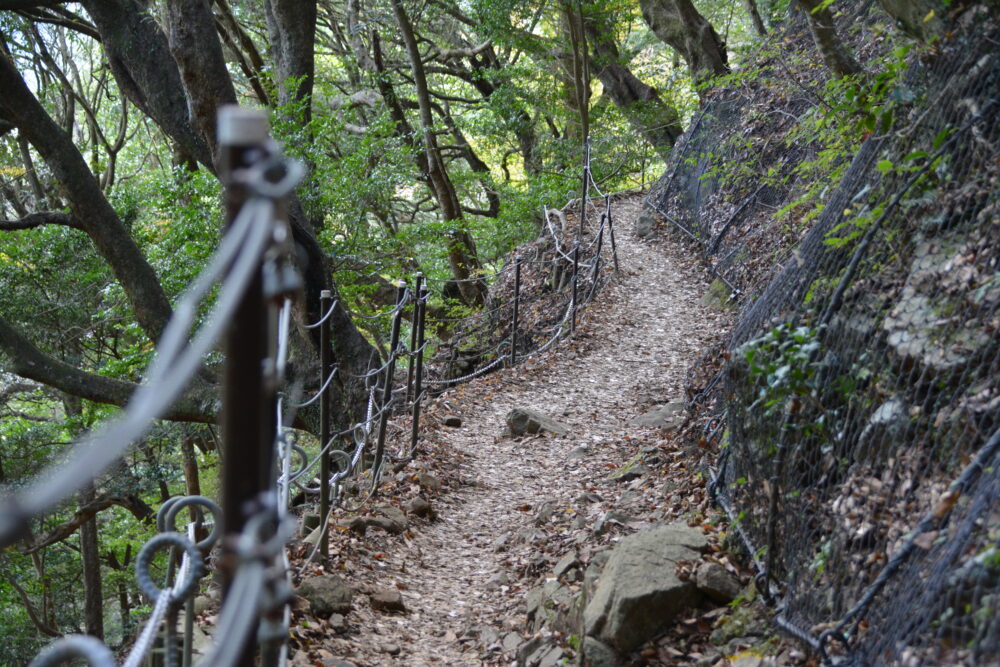 丹沢・大山の登山道