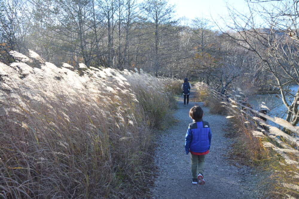 赤城山・小沼の散策路を歩く親子