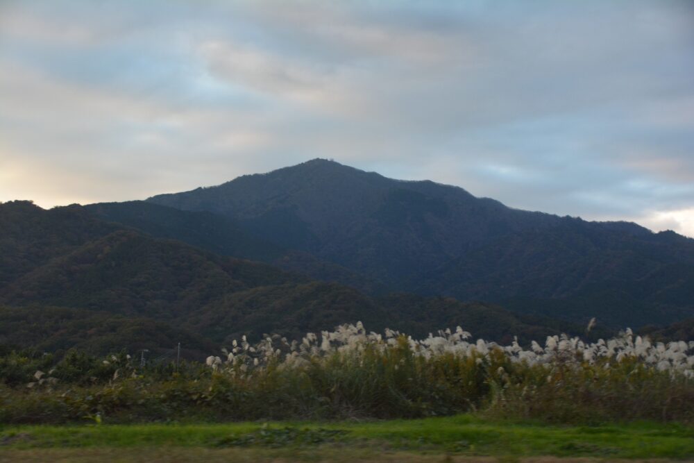 麓から見た丹沢・大山