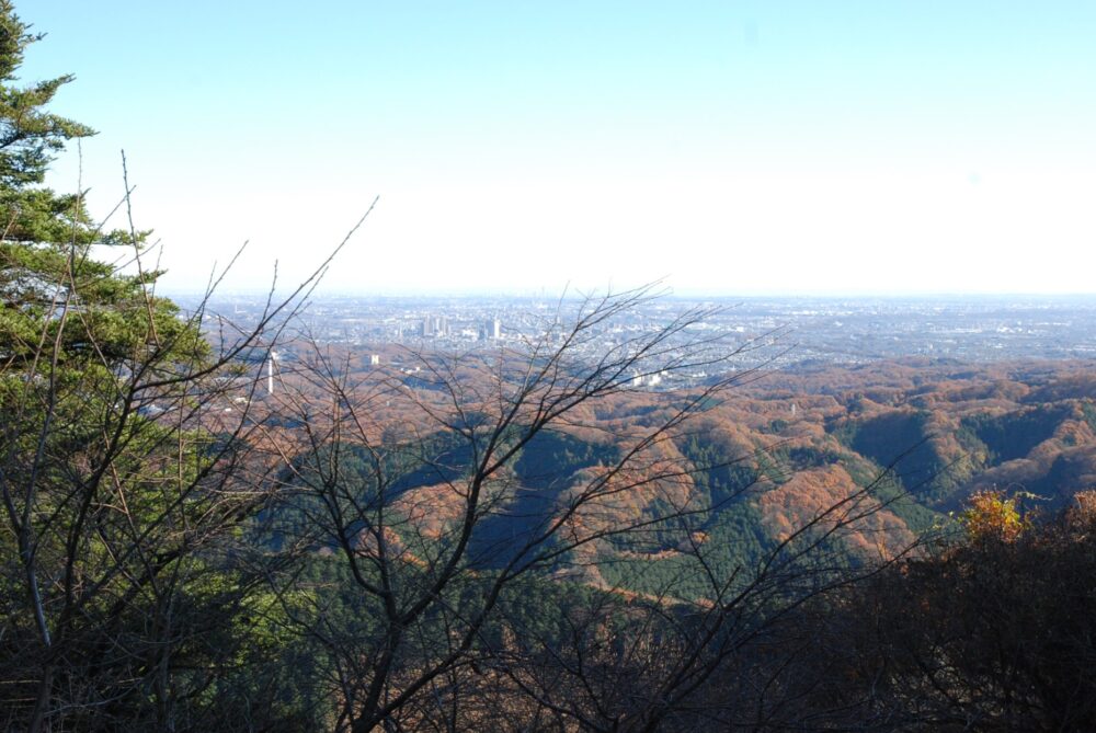 高尾山から見た東京の町並み