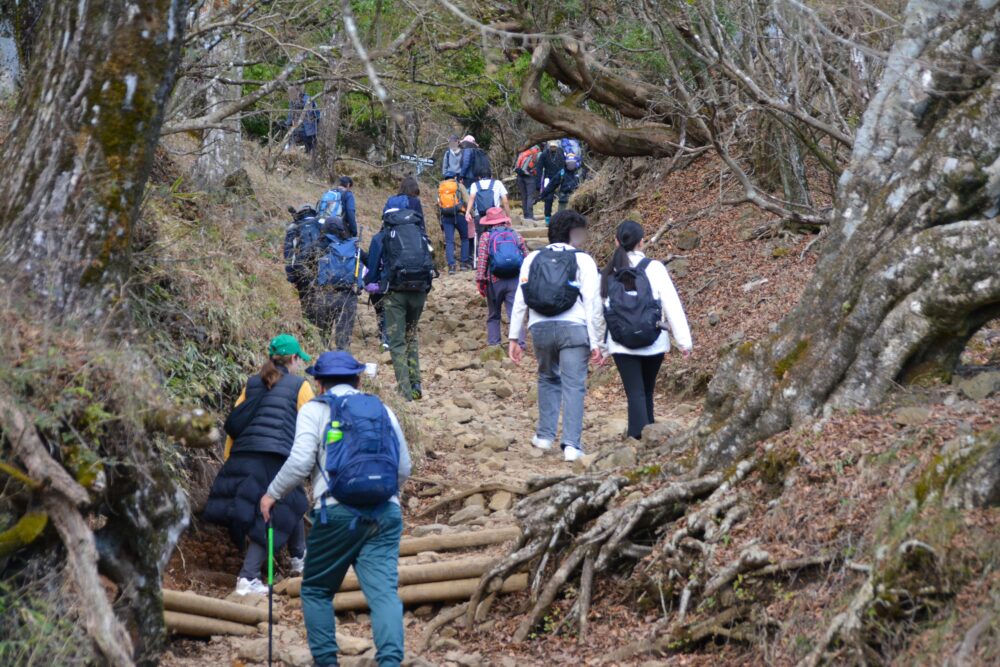 丹沢・大山の登山道を歩く人々