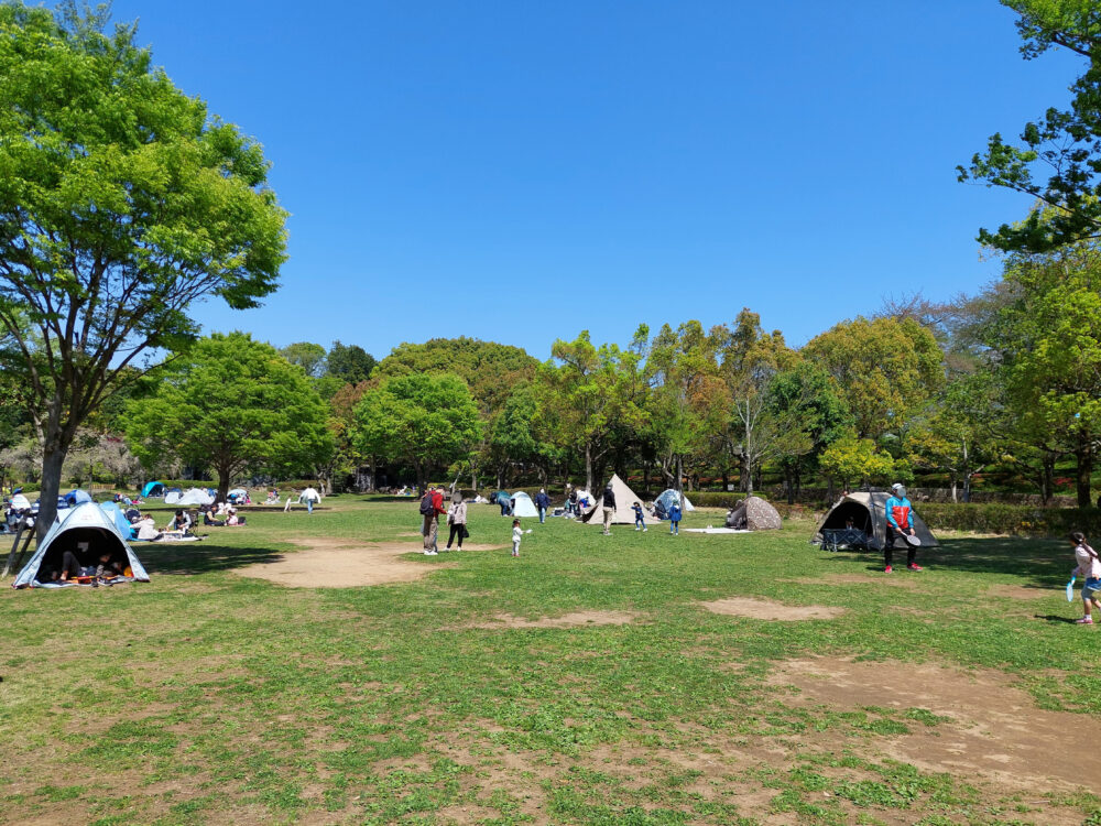 上尾丸山公園の芝生広場でピクニックする人々