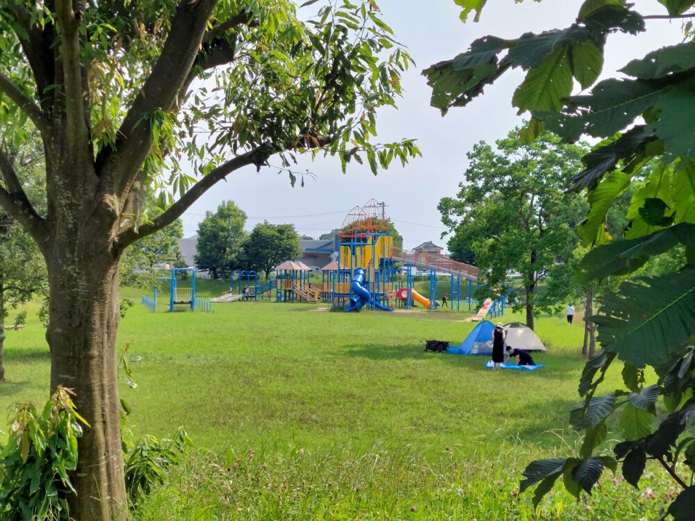 夏の川通公園でピクニックしている人たち