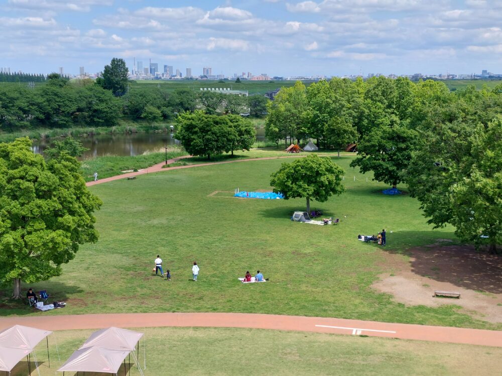 びん沼自然公園の巨大遊具の展望台から眺めたさいたま市の町並みと芝生広場