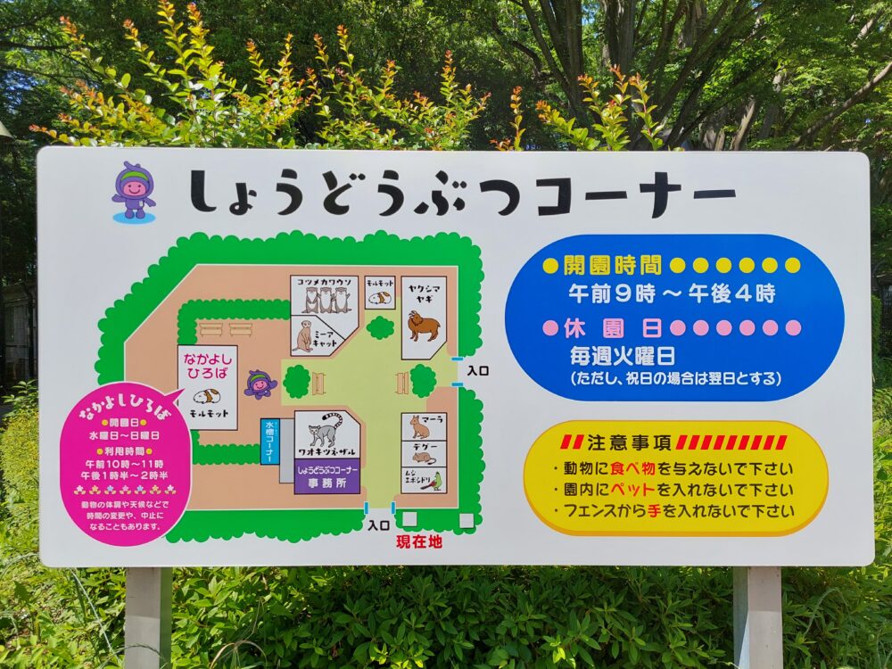 上尾丸山公園の無料の小動物コーナー