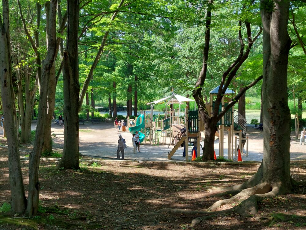 上尾丸山公園の複合遊具と鮮やかな新緑の森